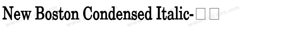 New Boston Condensed Italic字体转换